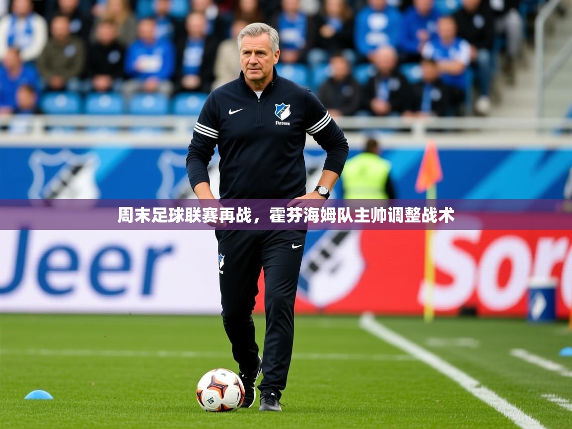 2025华体会体育app周末足球联赛再战，霍芬海姆队主帅调整战术