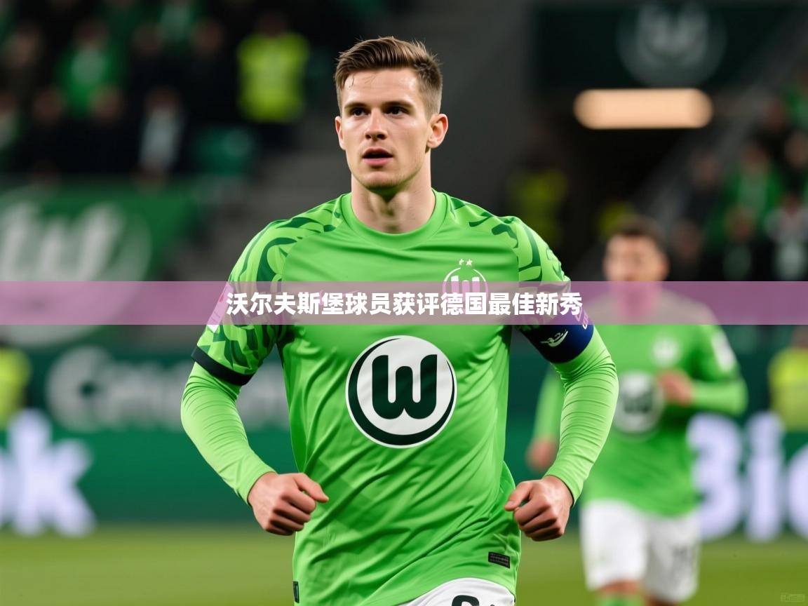 2026华体会登录手机版最新沃尔夫斯堡球员获评德国最佳新秀  第3张