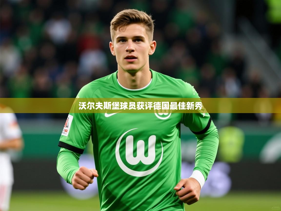 2026华体会登录手机版最新沃尔夫斯堡球员获评德国最佳新秀  第4张