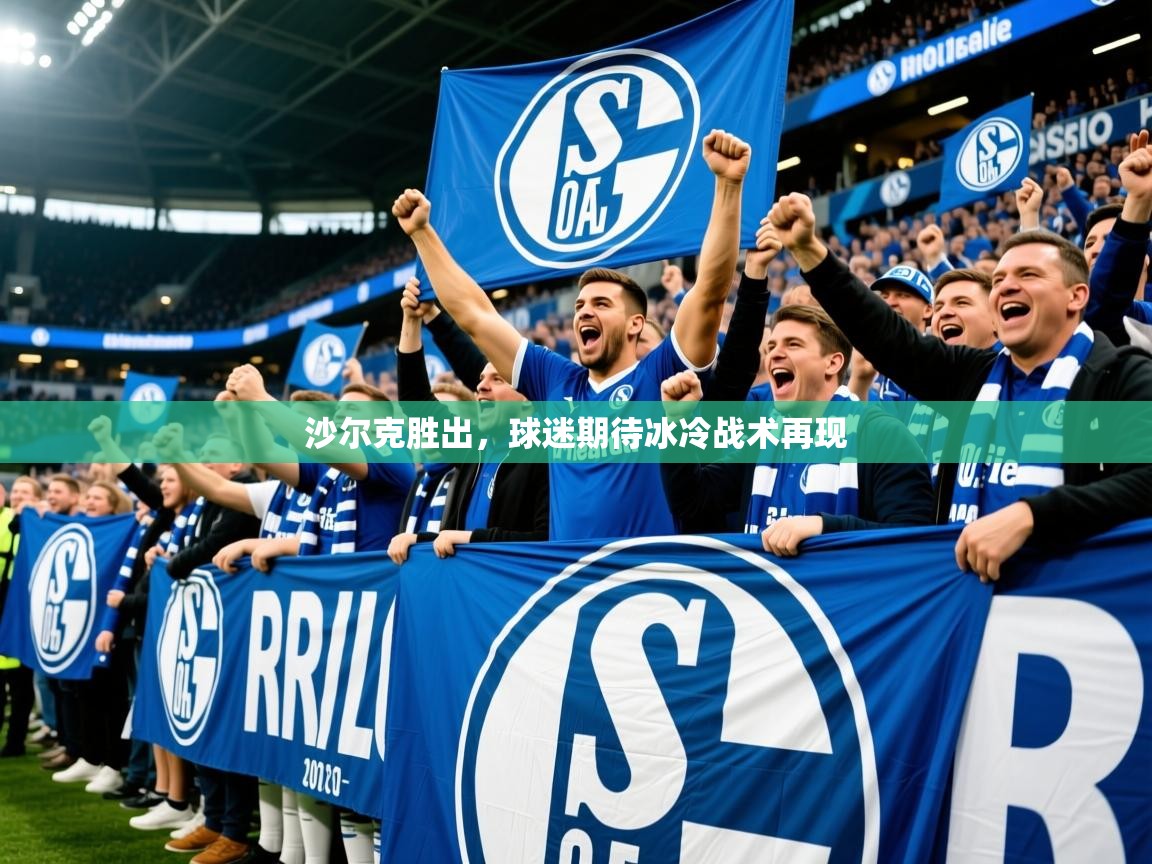 2026华体会登录手机版最新沙尔克胜出，球迷期待冰冷战术再现