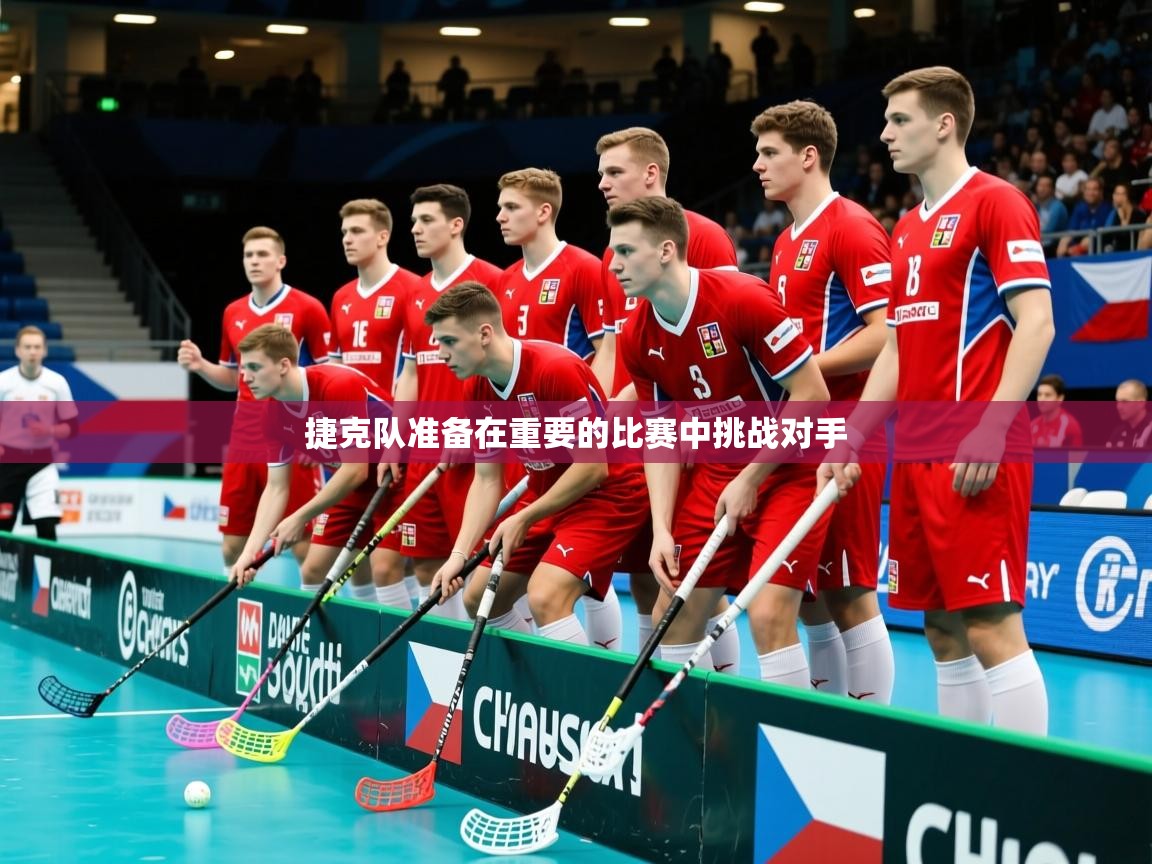2026华体会登录手机版最新捷克队准备在重要的比赛中挑战对手  第4张