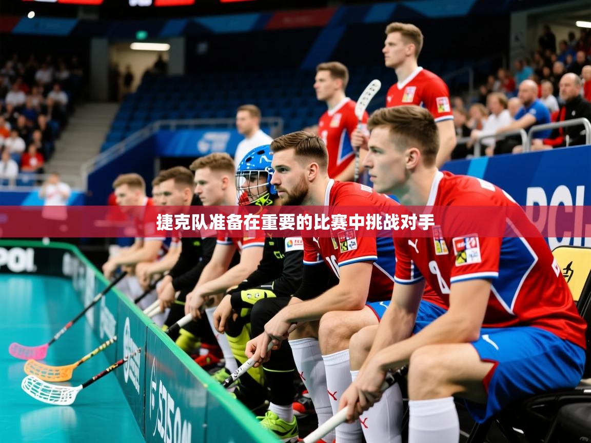 2026华体会登录手机版最新捷克队准备在重要的比赛中挑战对手  第2张