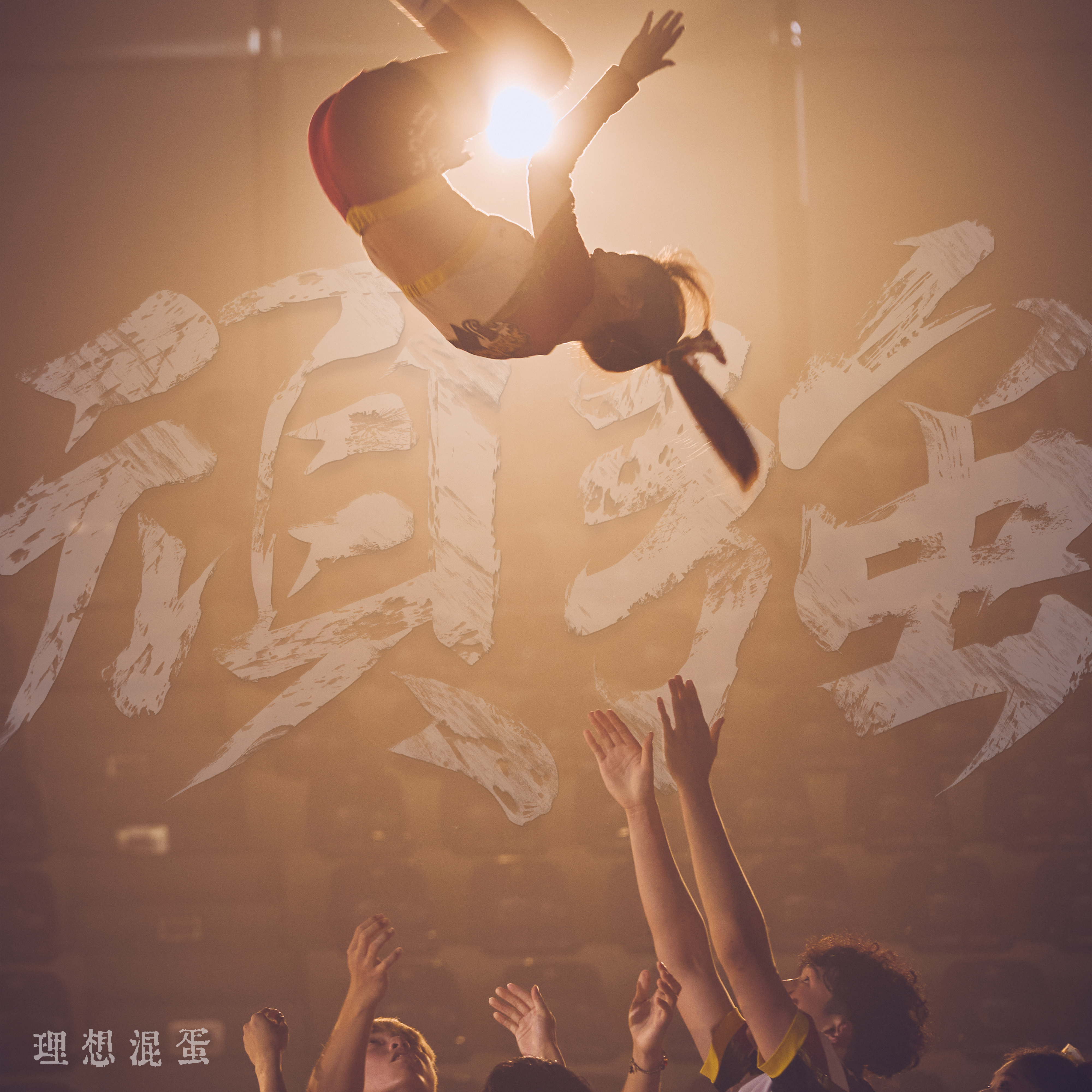关于铁血豪情，赛场上的梦想永不熄灭的信息
